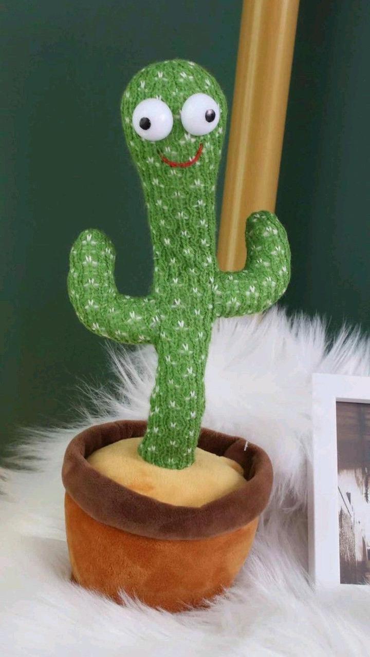 Dancing Cactus