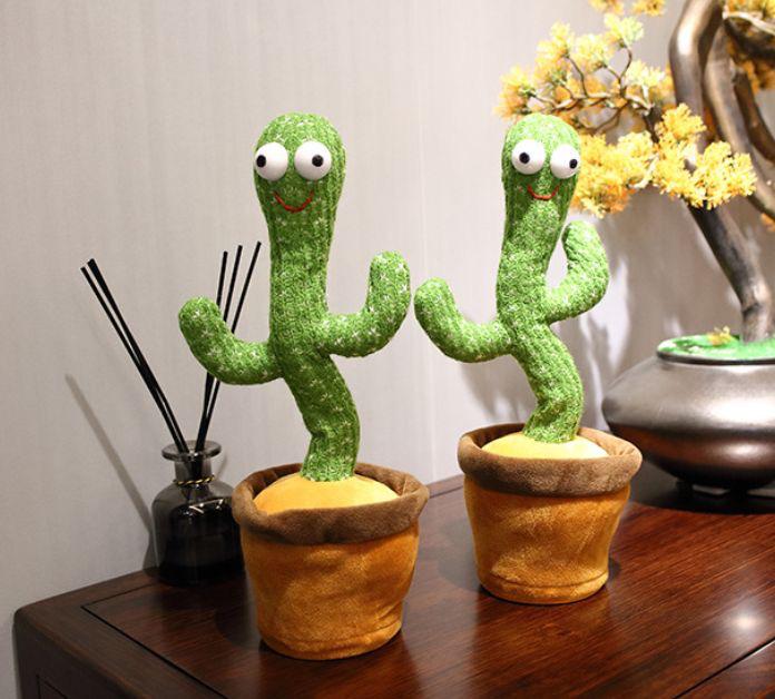 Dancing Cactus